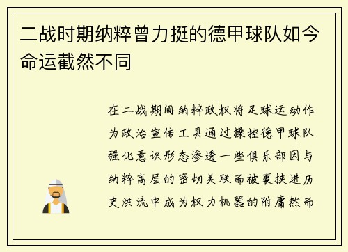 二战时期纳粹曾力挺的德甲球队如今命运截然不同